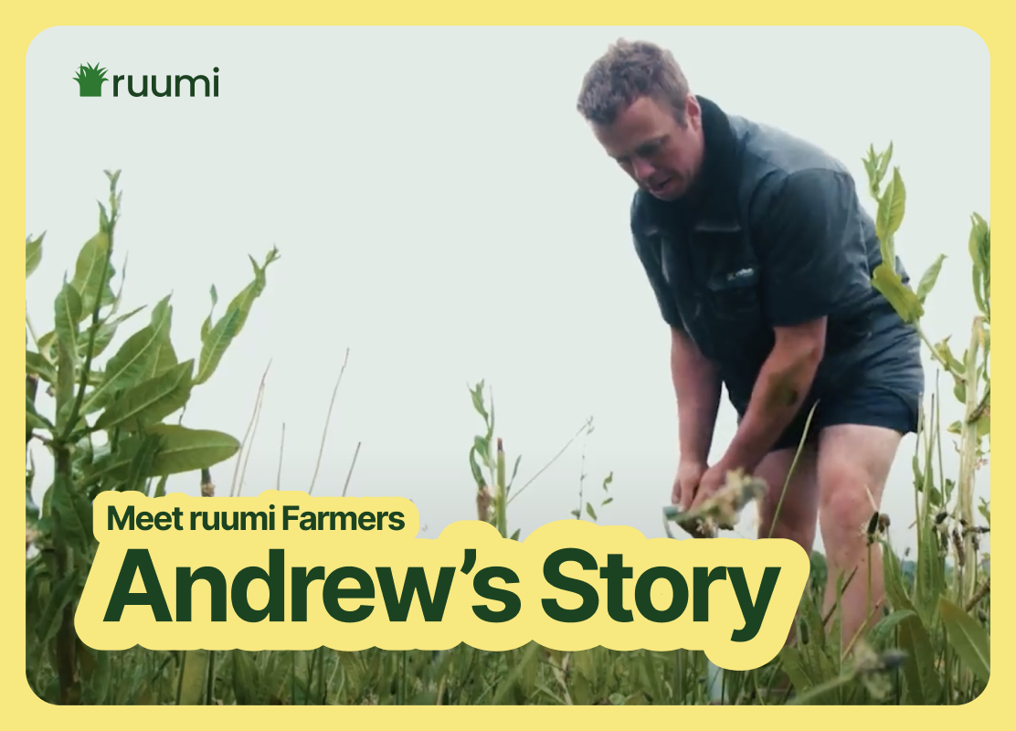 Andrew's Journey with ruumi